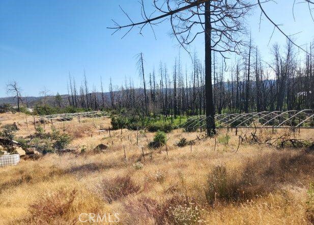 30 Ranch Road Berry Creek, CA 95916 - Photo 1 of 1 Gallery Image 1