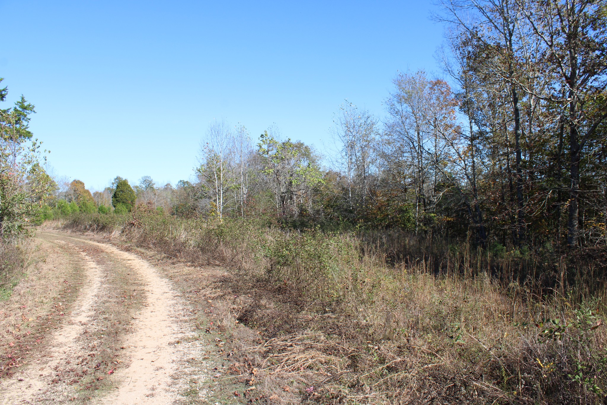 0 Briar Pond Road Centerville, TN 37033 - Photo 2 of 17 a view of a lake with lots of trees