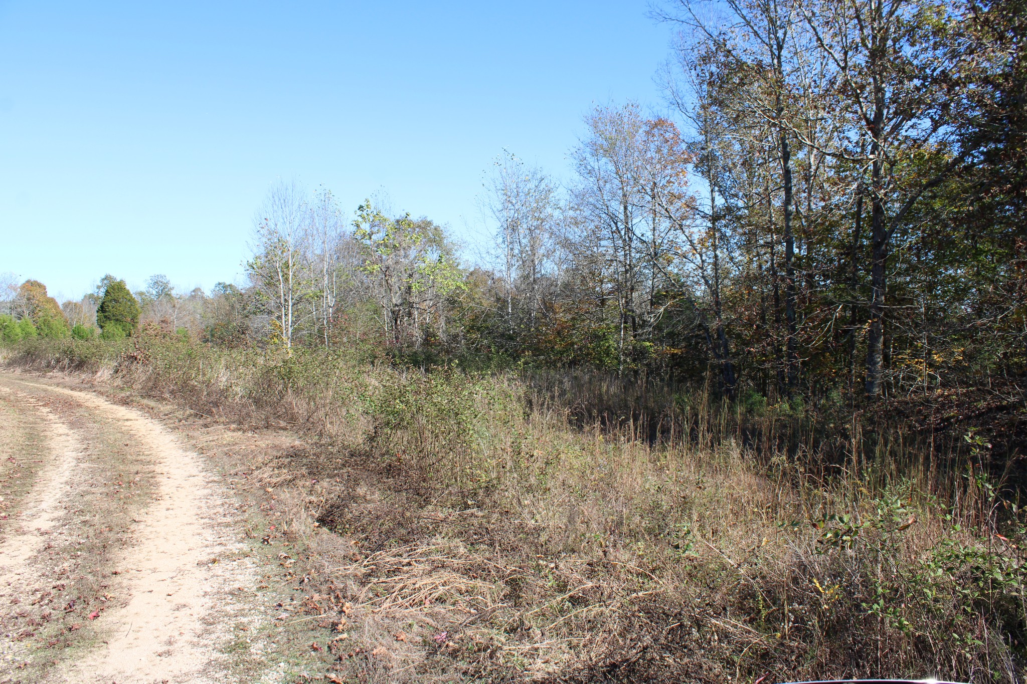 0 Briar Pond Road Centerville, TN 37033 - Photo 11 of 17 a view of a lake view