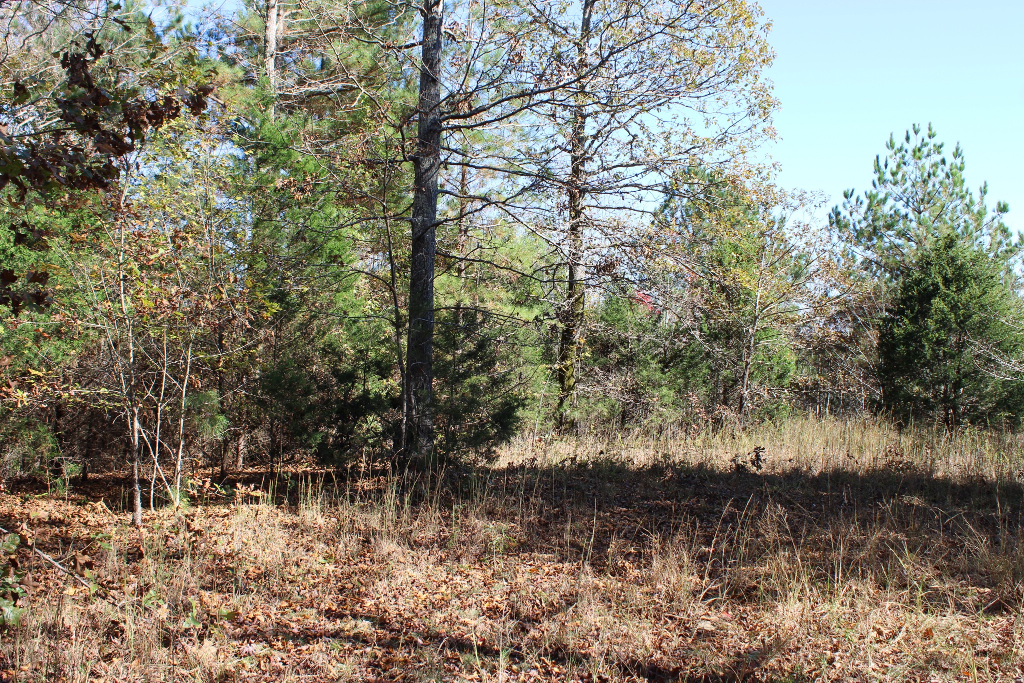 0 Briar Pond Road Centerville, TN 37033 - Photo 14 of 17 a view of lake with green space