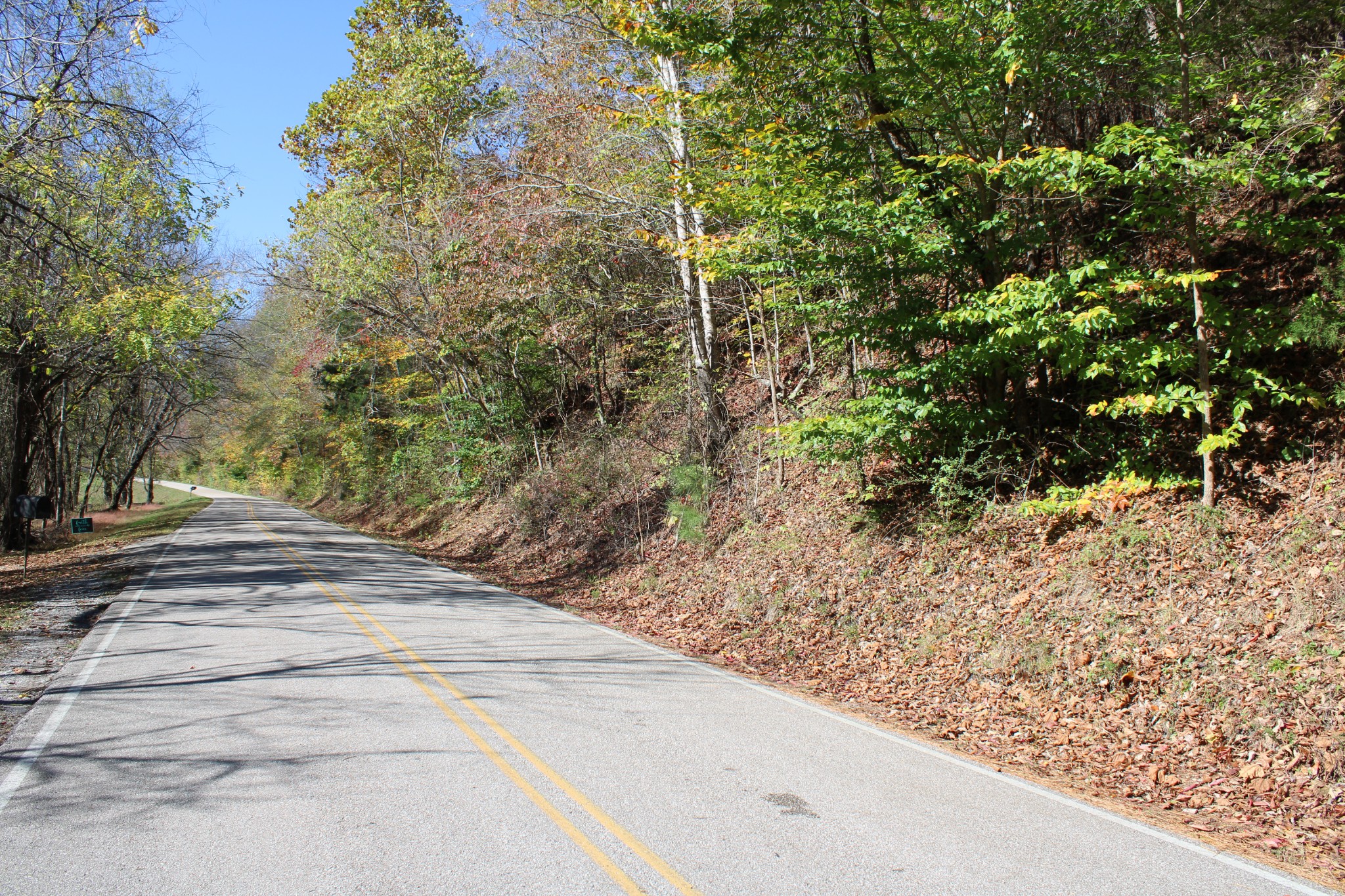 0 Briar Pond Road Centerville, TN 37033 - Photo 3 of 17 a view of a backyard of the house