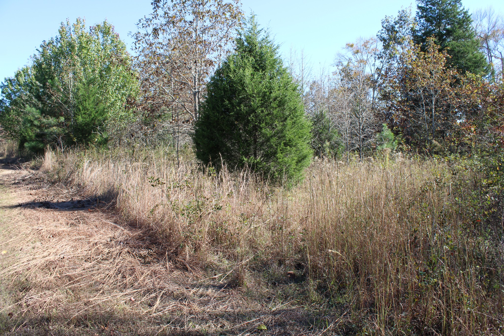 0 Briar Pond Road Centerville, TN 37033 - Photo 9 of 17 a view of a lake with lots of trees