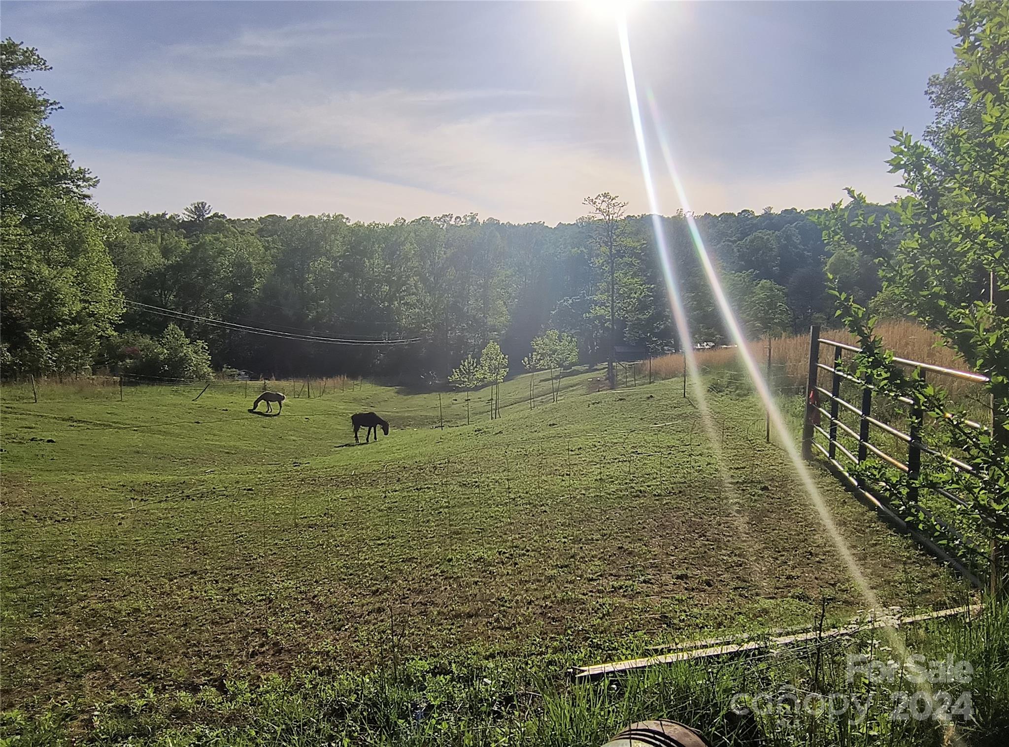 558 John Swofford Road Nebo, NC 28761 - Photo 3 of 7 Gallery Image 3