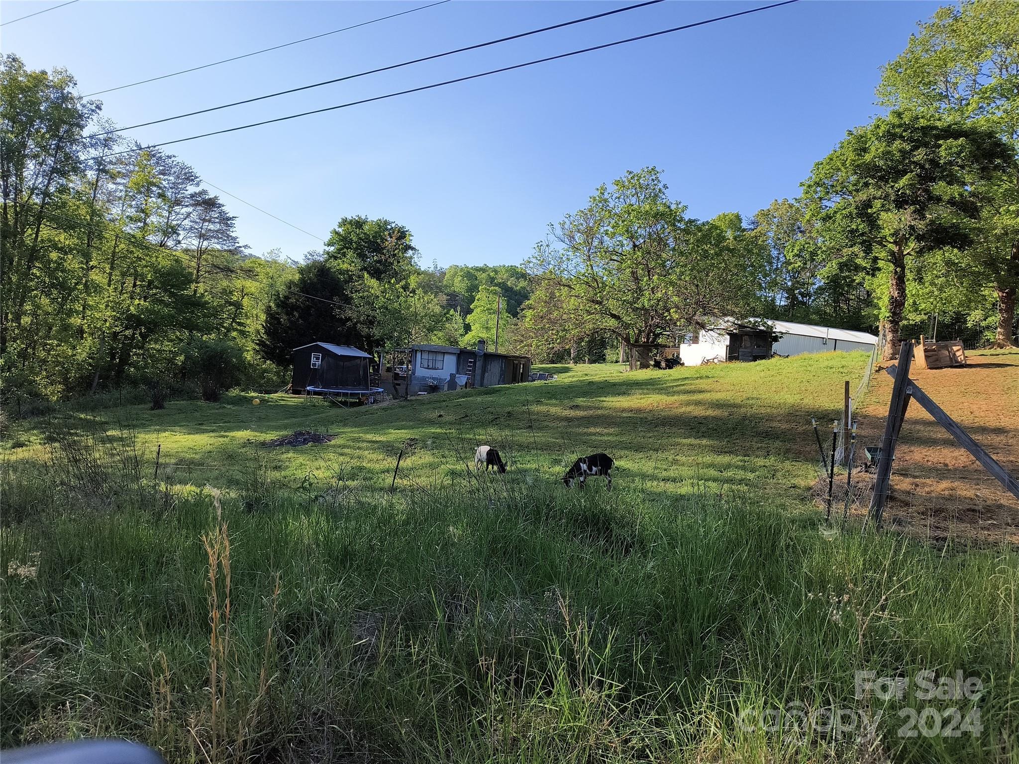558 John Swofford Road Nebo, NC 28761 - Photo 6 of 7 Gallery Image 6