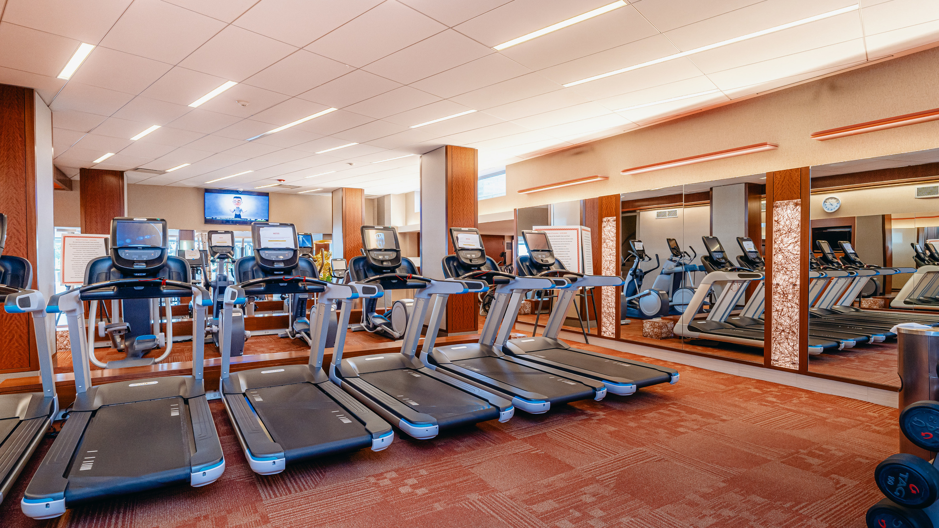 400 East Randolph Street, Unit 3915 Chicago, IL 60601 - Photo 14 of 16 a view of a room with gym equipment