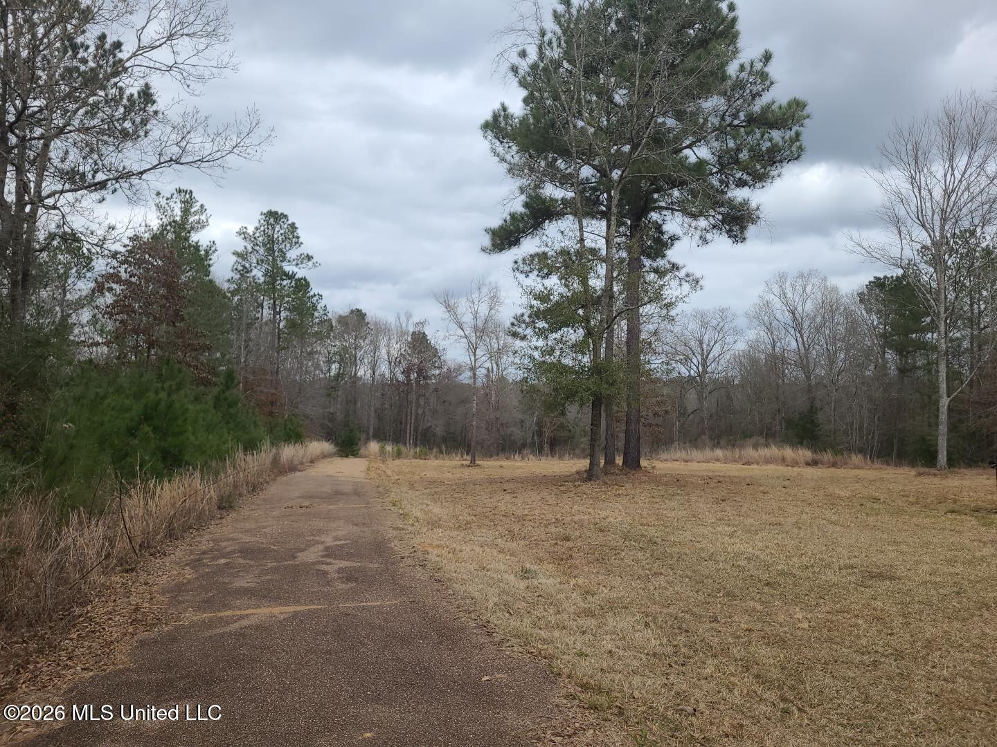 118 Grayson Road Mendenhall, MS 39114 - Photo 4 of 26 552395-Marketing-2-26-26 003