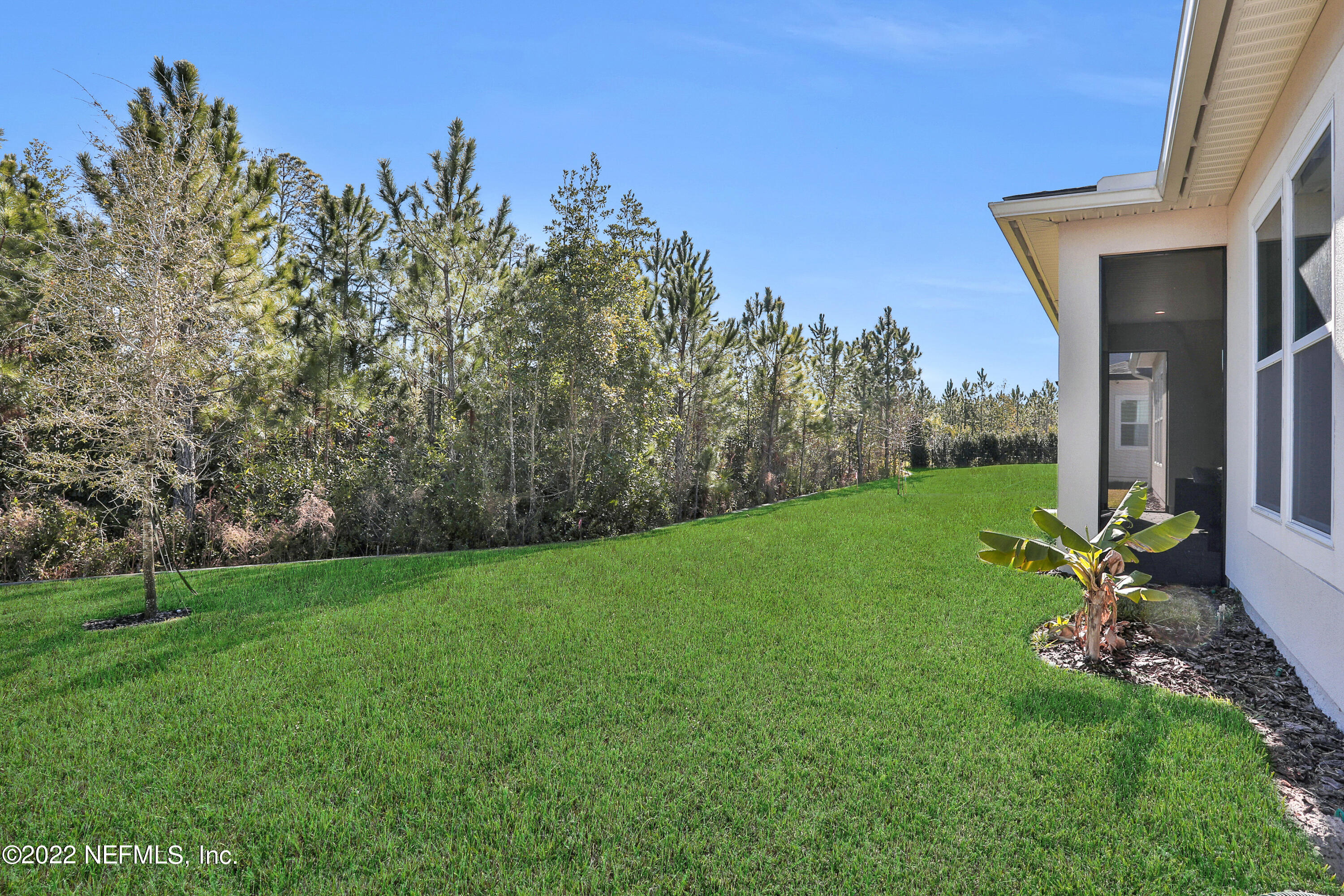 10170 Silverbrook Trail Jacksonville, FL 32256 - Photo 45 of 62 Yard Space