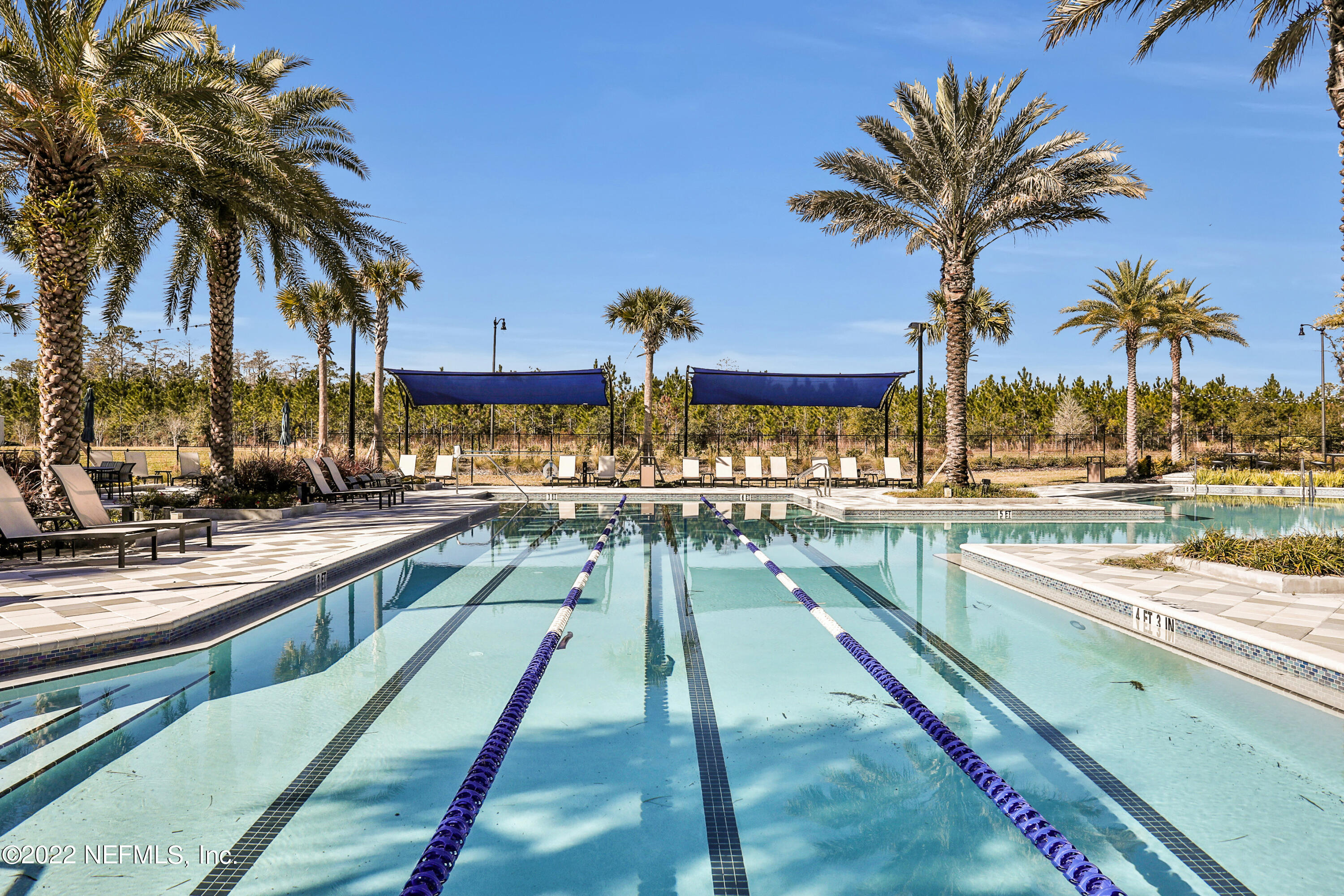 10170 Silverbrook Trail Jacksonville, FL 32256 - Photo 53 of 62 Pool