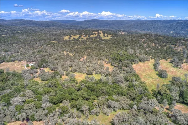 a view of a sky from a yard