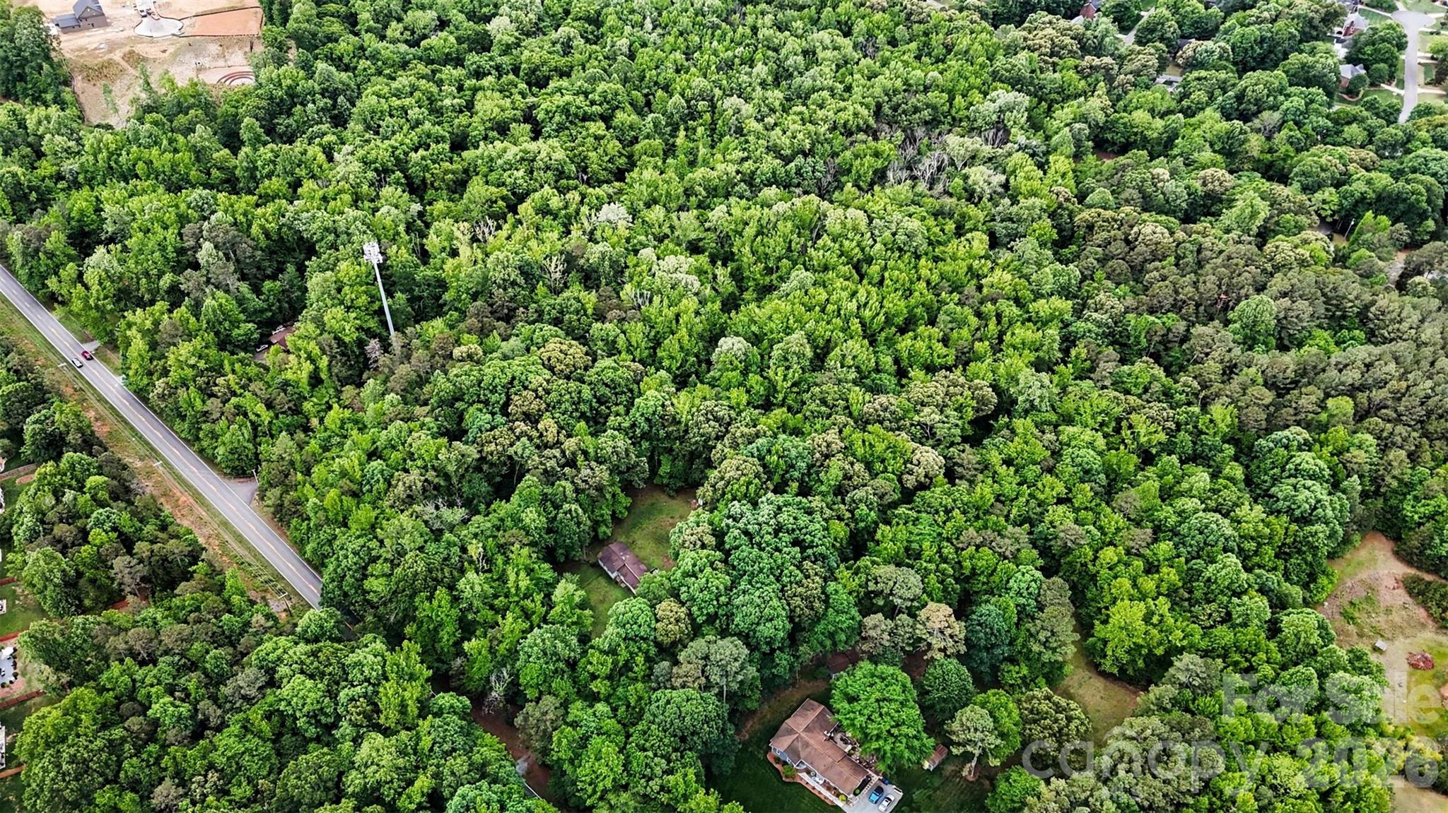1116 Billy Howey Road Waxhaw, NC 28173 - Photo 11 of 19 a view of a lush green forest