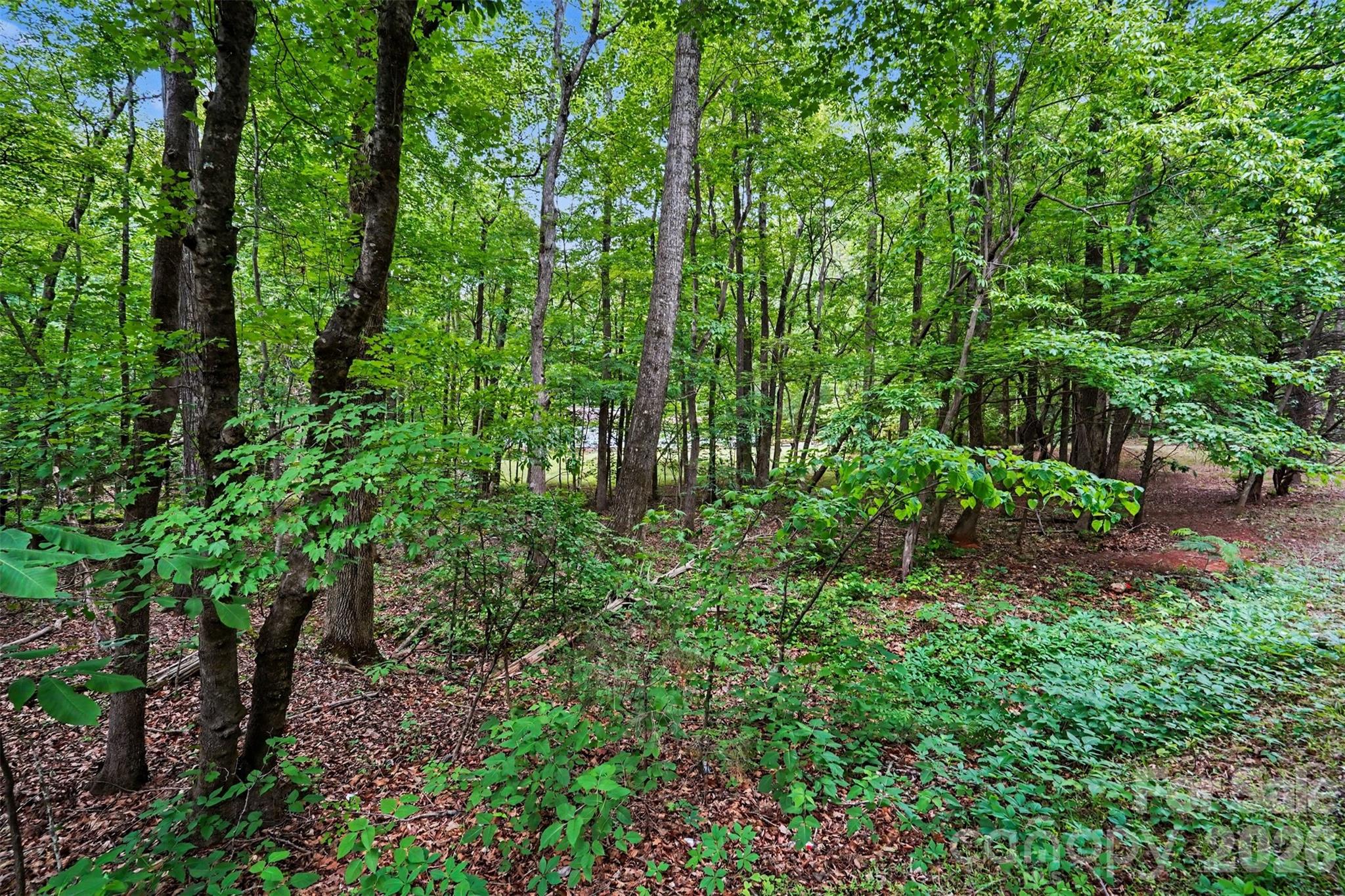 1116 Billy Howey Road Waxhaw, NC 28173 - Photo 6 of 19 a view of a garden with plants