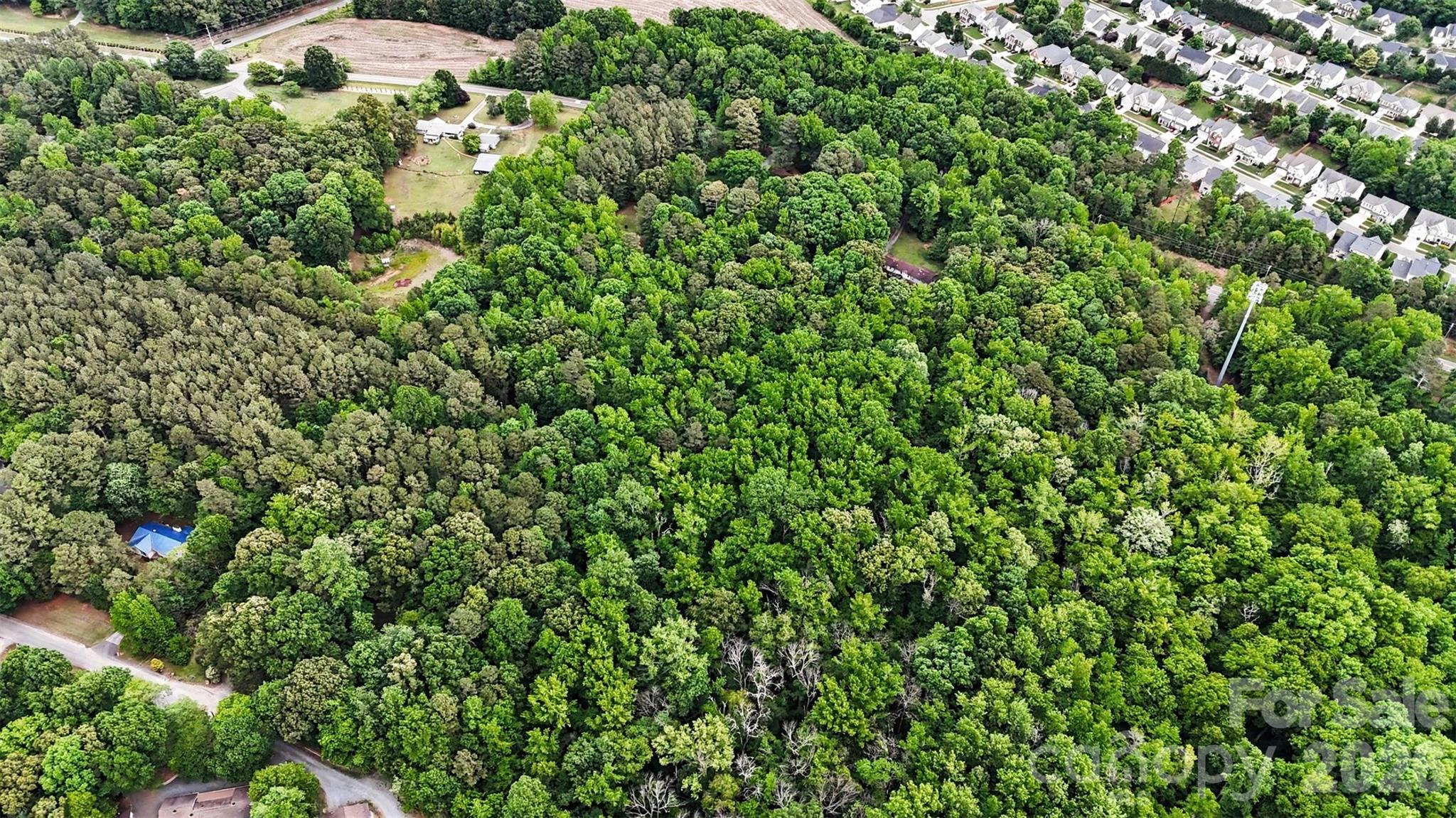 1116 Billy Howey Road Waxhaw, NC 28173 - Photo 7 of 19 a view of a lush green forest