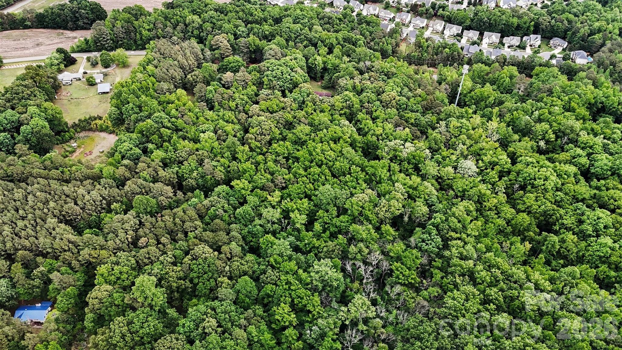 1116 Billy Howey Road Waxhaw, NC 28173 - Photo 8 of 19 a view of a bunch of trees and bushes