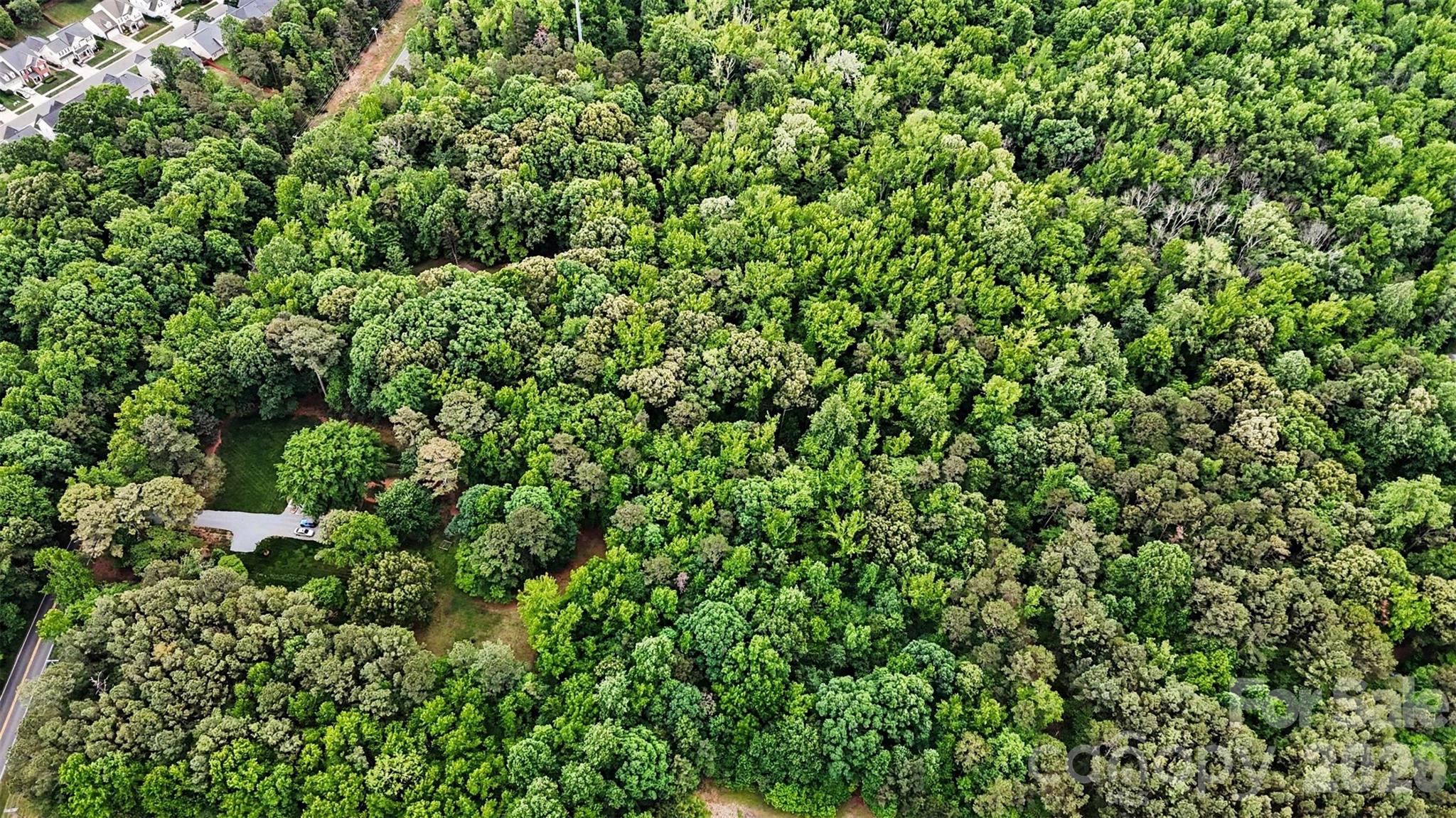1116 Billy Howey Road Waxhaw, NC 28173 - Photo 10 of 19 a view of a lush green forest