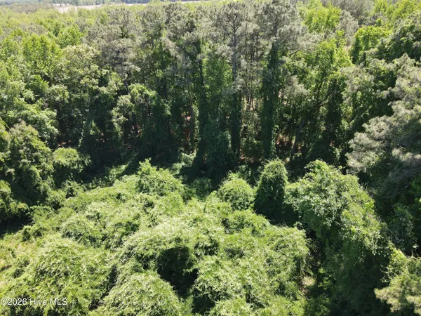 $35,000 | 9780 Highway 158, Conway, NC 27820