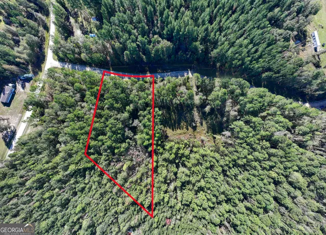 an outdoor space with garden