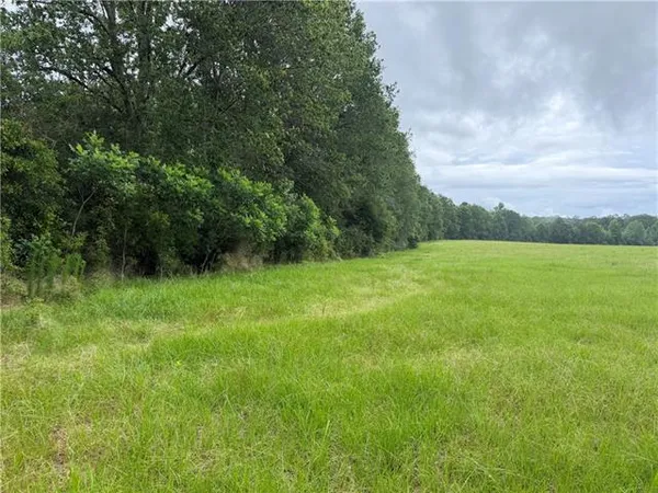 $396,500 | 0 East Bell Road, Amite, LA 70422