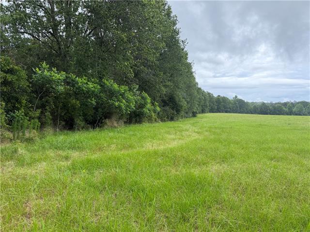 0 East Bell Road Amite, LA 70422 - Photo 1 of 8