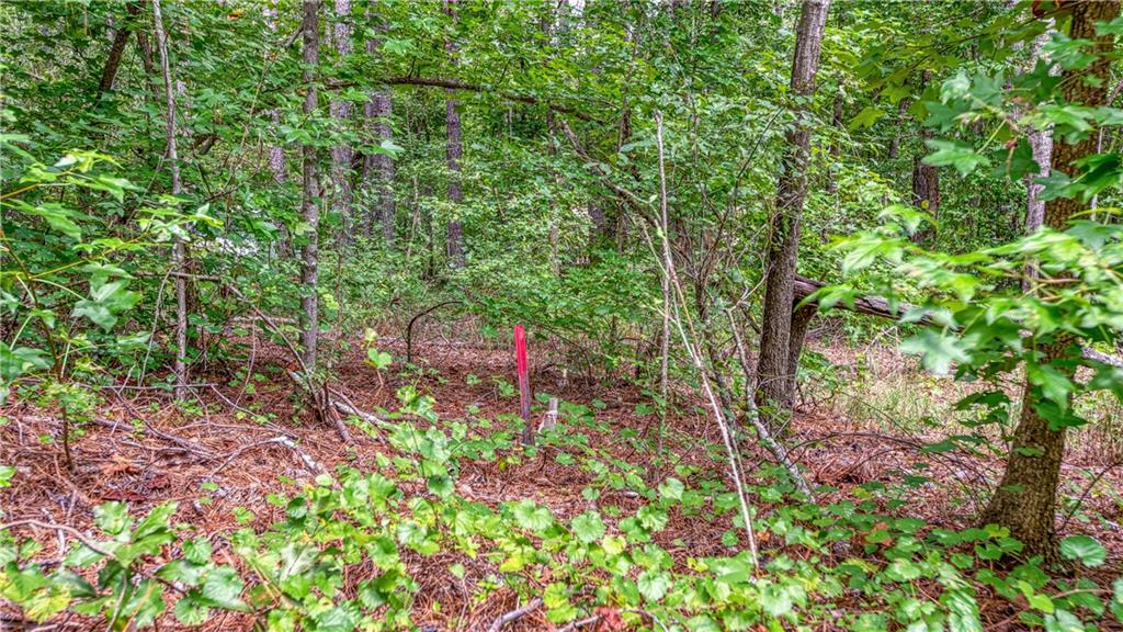 140 Levi Trail Nicholson, GA 30565 - Photo 12 of 15