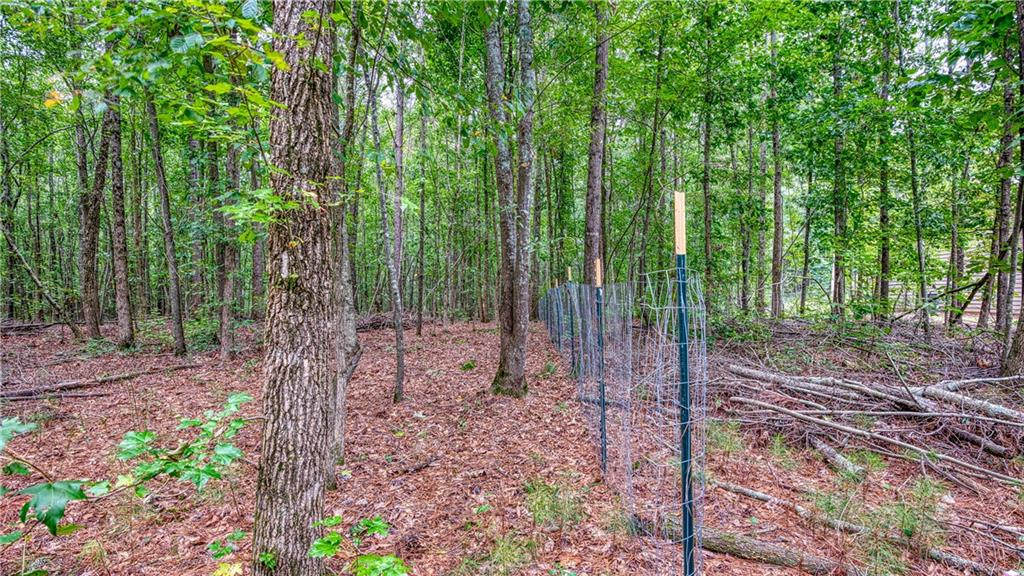 140 Levi Trail Nicholson, GA 30565 - Photo 14 of 15