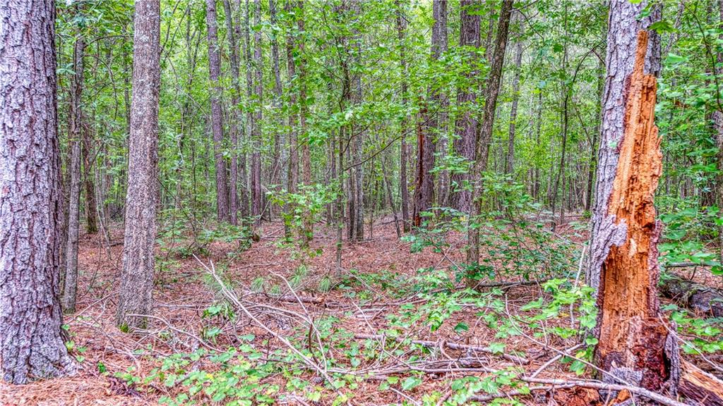 140 Levi Trail Nicholson, GA 30565 - Photo 15 of 15