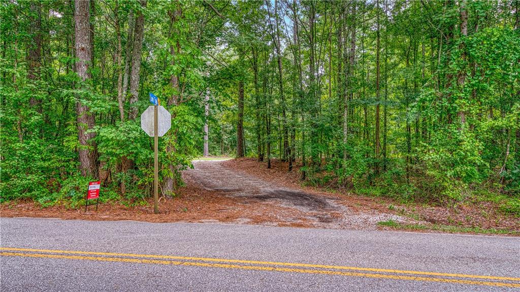 140 Levi Trail Nicholson, GA 30565 - Photo 4 of 15