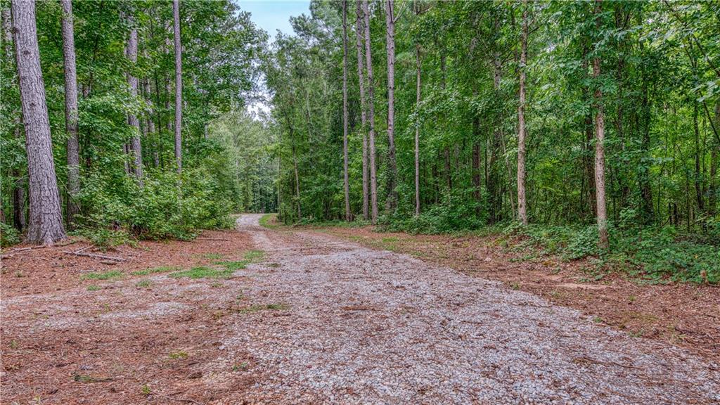 140 Levi Trail Nicholson, GA 30565 - Photo 5 of 15