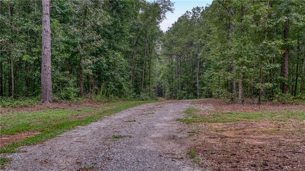 140 Levi Trail Nicholson, GA 30565 - Photo 6 of 15