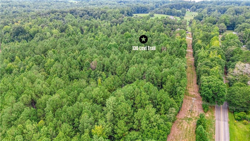 140 Levi Trail Nicholson, GA 30565 - Photo 9 of 15