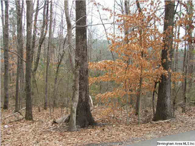2175 Wayne Road, Unit 1 6 AC Birmingham, AL 35210 - Photo 3 of 4