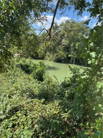 a view of a lush green forest with lots of trees