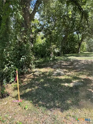 a view of a tree in a yard
