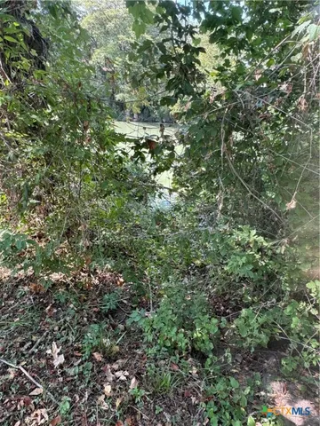 a view of a house with a tree
