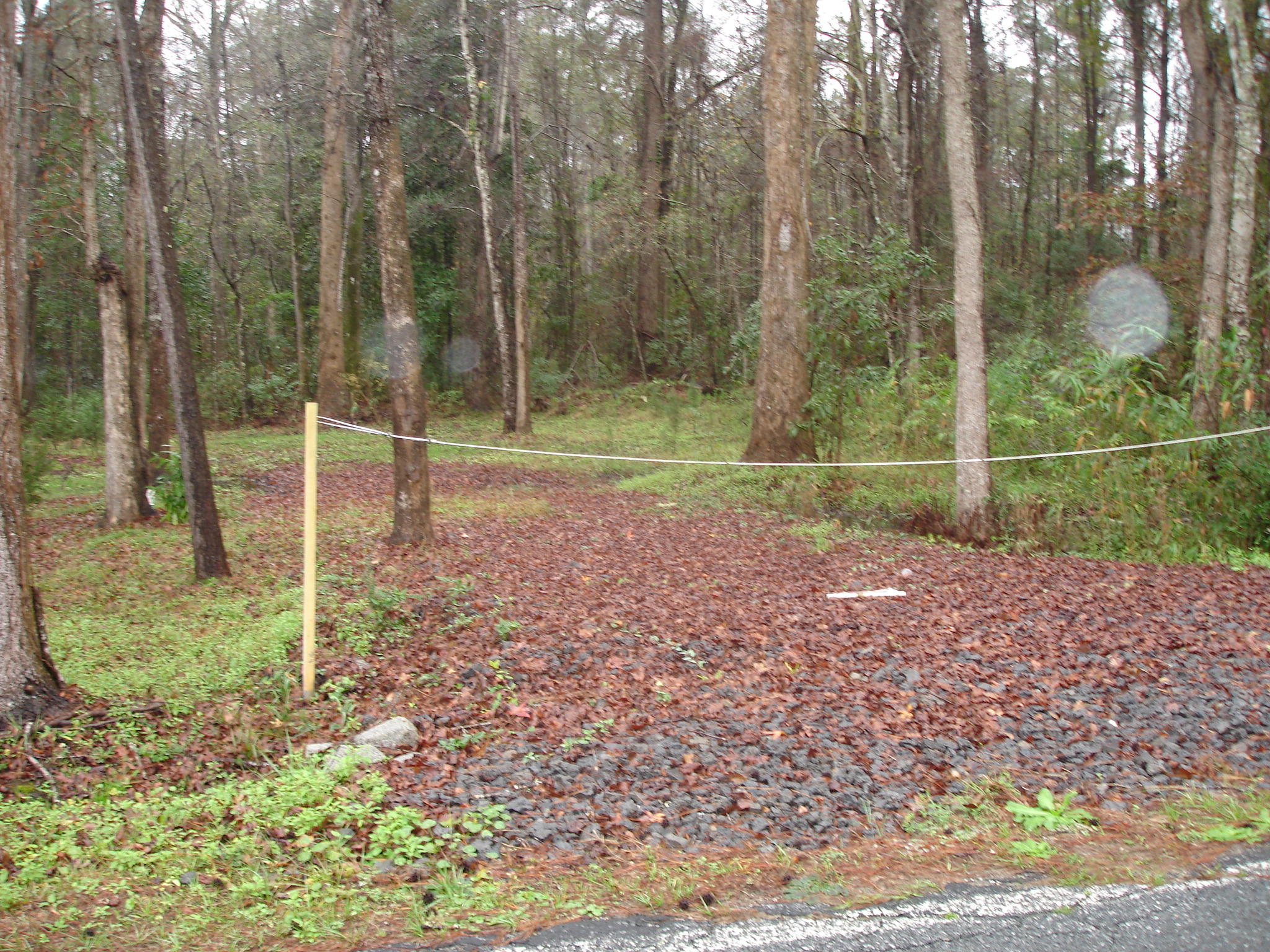 1 Miley Hill Road Ravenel, SC 29470 - Photo 1 of 5 Miley - Florida lot (5)