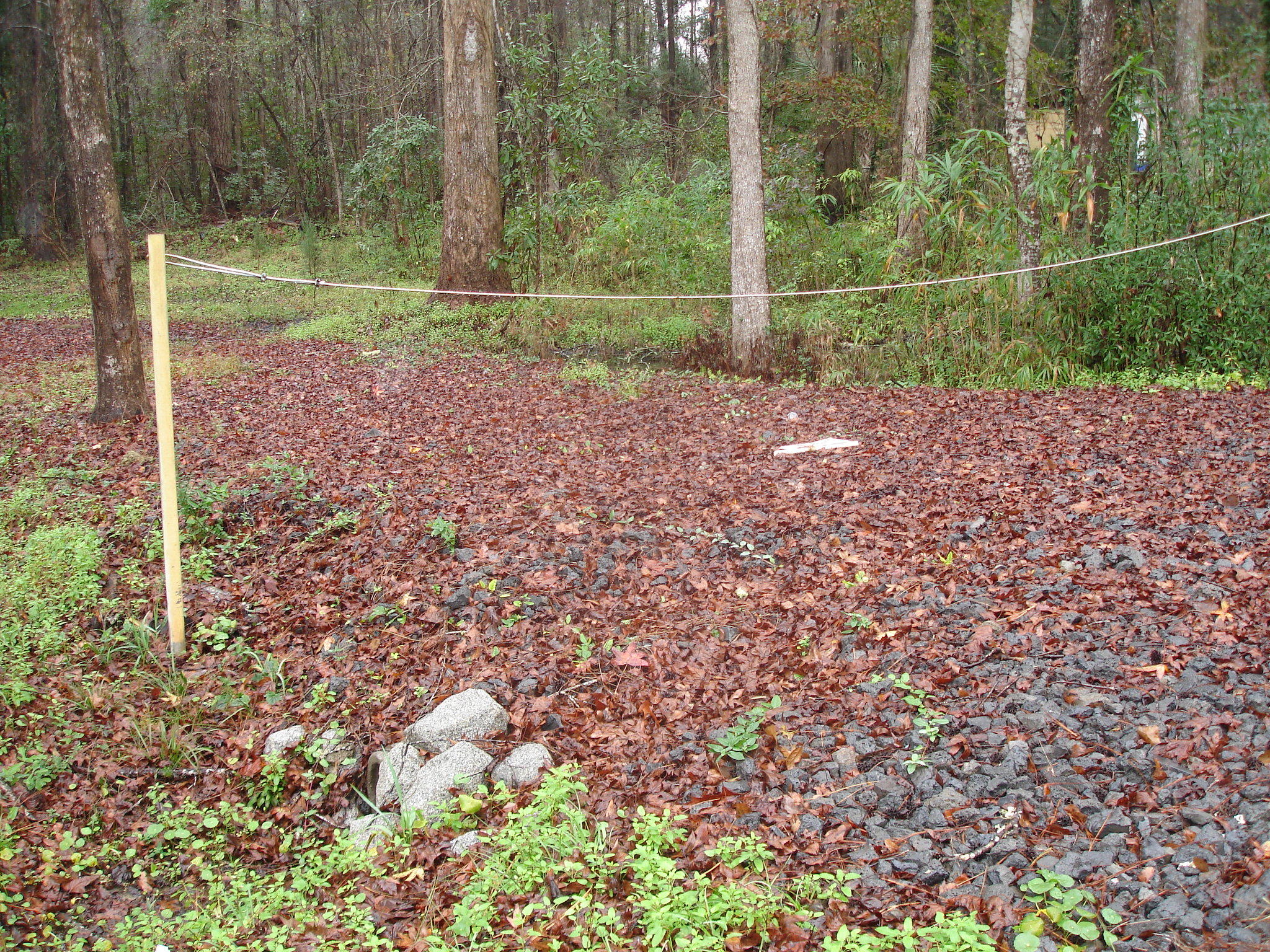 1 Miley Hill Road Ravenel, SC 29470 - Photo 5 of 5 Miley - Florida lot (2)