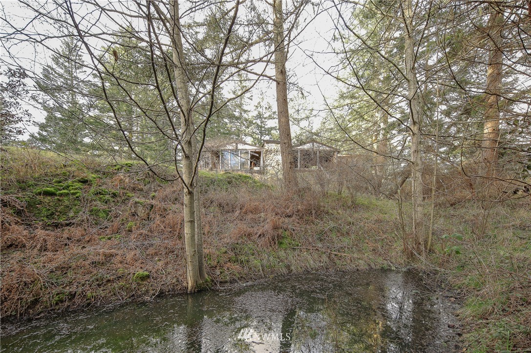378 Little Mountain Road Friday Harbor, WA 98250 - Photo 3 of 25 Gallery Image 3