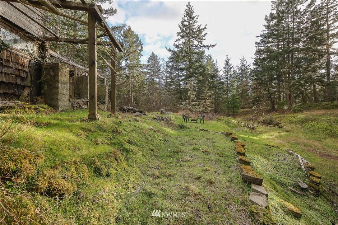 378 Little Mountain Road Friday Harbor, WA 98250 - Photo 8 of 25 Gallery Image 8