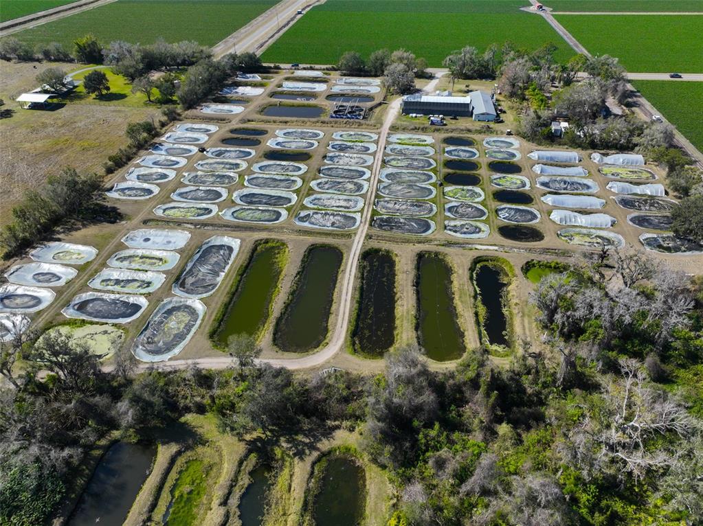 20112 Hobbs Road Wimauma, FL 33598 - Photo 56 of 94 an aerial view of a residential houses with outdoor space