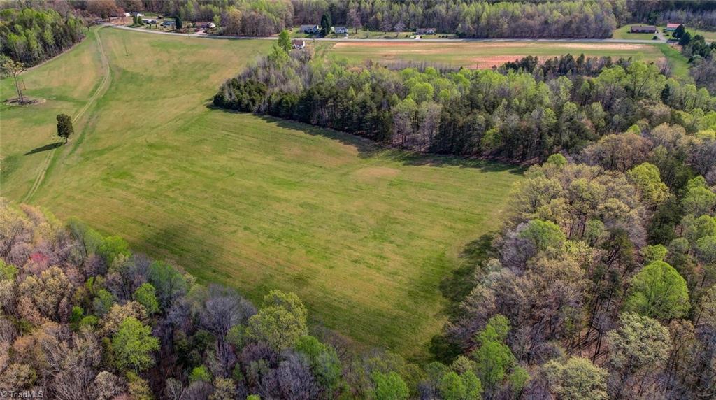 Parcel B Goose Pond Road Ruffin, NC 27326 - Photo 6 of 6