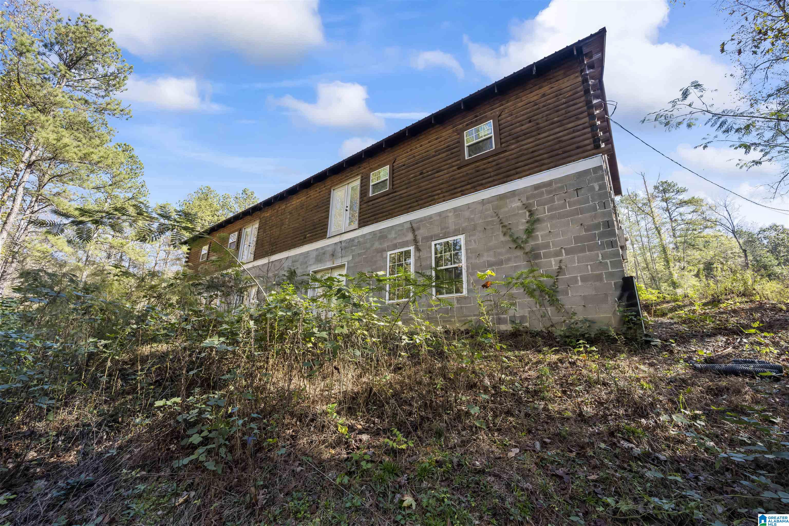 1078 Chamblee Mill Road Blountsville, AL 35031 - Photo 7 of 25