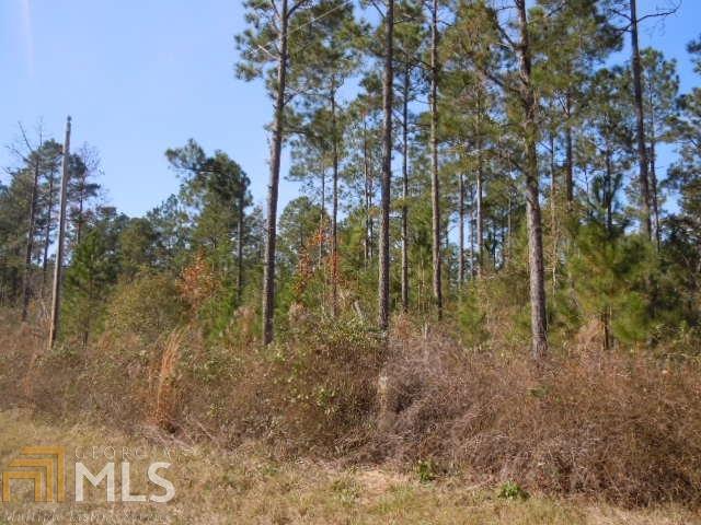 0 Highway 117 & Smith Road Cadwell, GA 31009 - Photo 1 of 1 Gallery Image 1