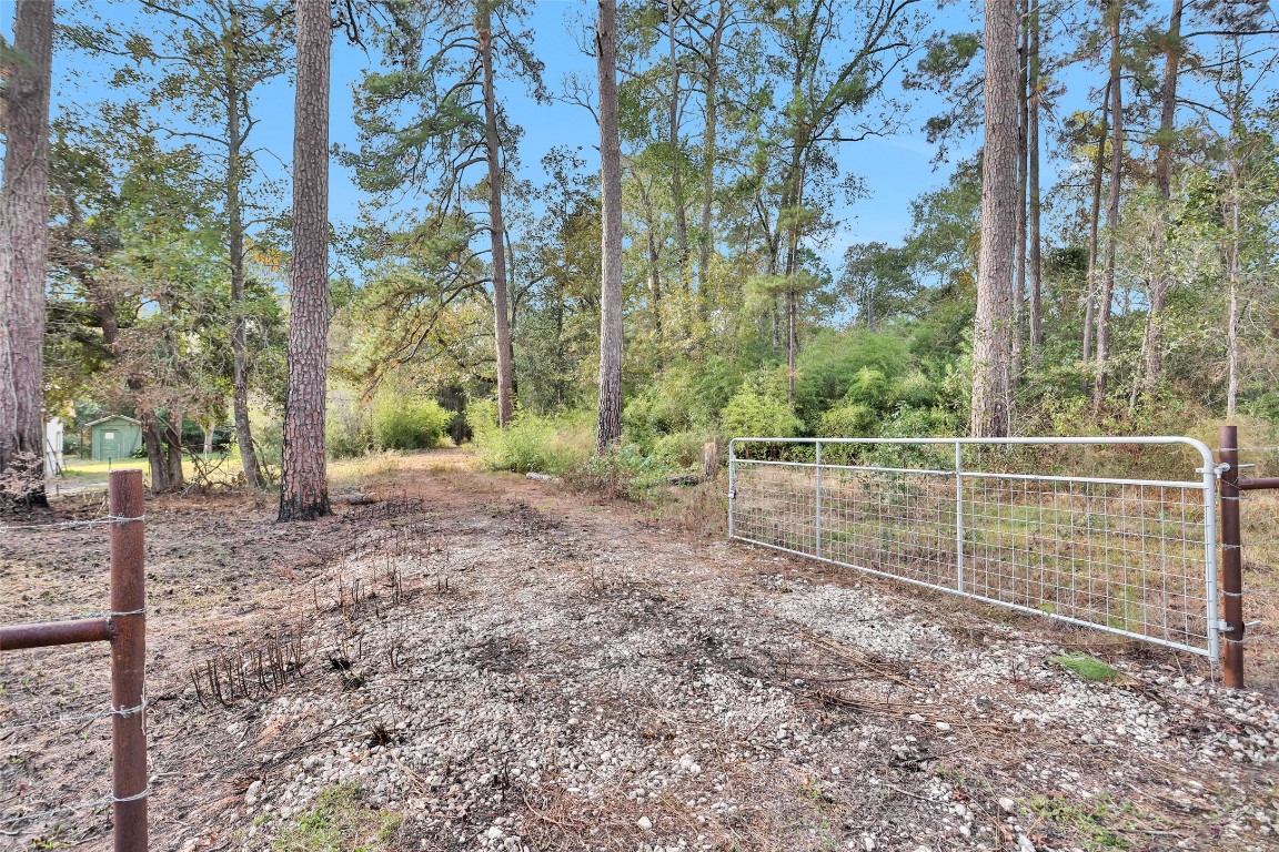 7415 Honea Egypt Road Montgomery, TX 77316 - Photo 3 of 50 a view of a yard with large trees
