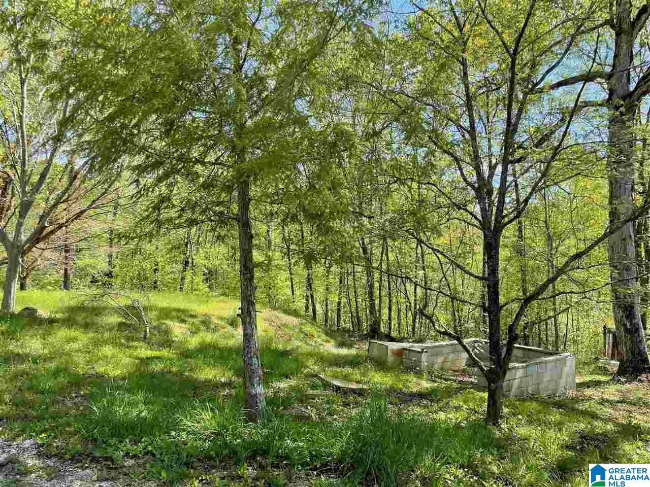 499 Greensport Road Ohatchee, AL 36271 - Photo 5 of 12