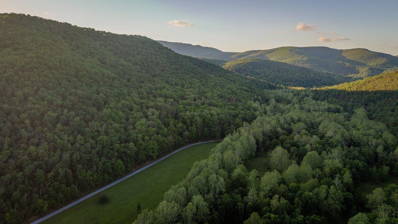 22606 German River Road Criders, VA 22820 - Photo 57 of 75