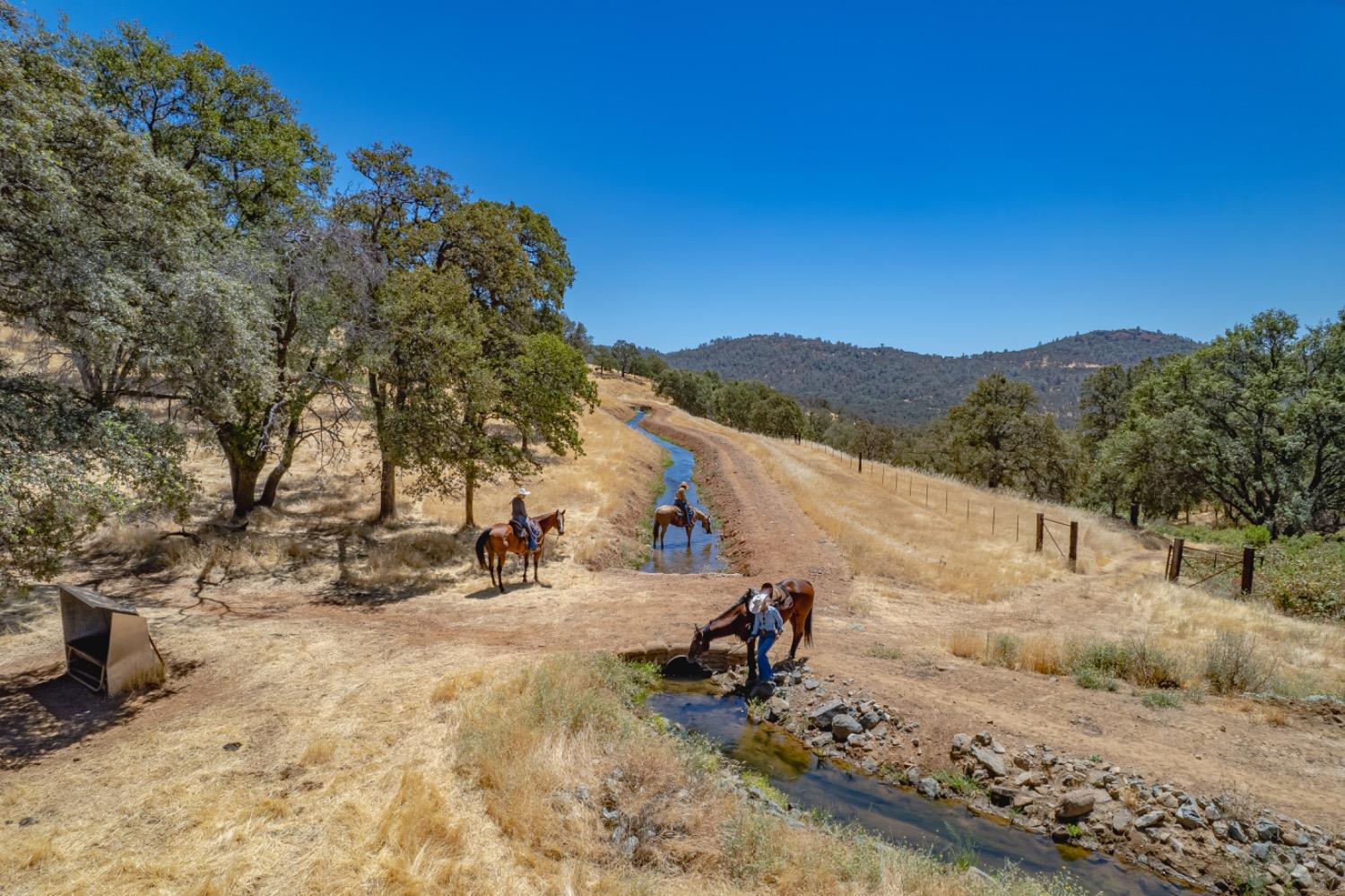 27044 McCourtney Road Grass Valley, CA 95949 - Photo 45 of 74