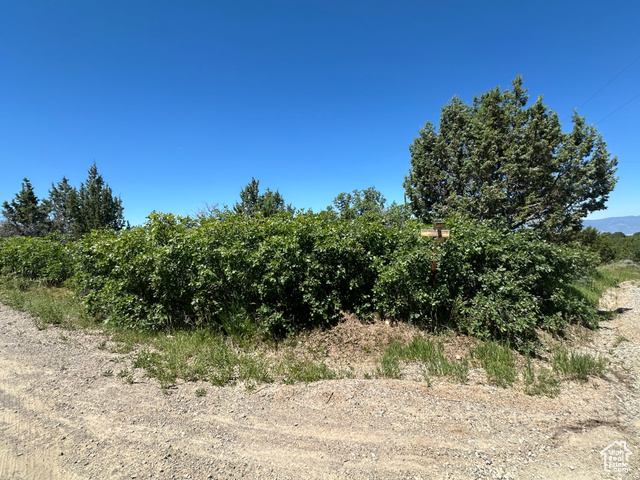 14050 Oak Rdg Circle, Unit 144 Mount Pleasant, UT 84647 - Photo 22 of 28 View of nature