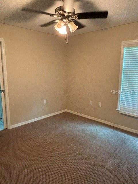 9209 McIntyre Road Brooksville, FL 34601 - Photo 34 of 50