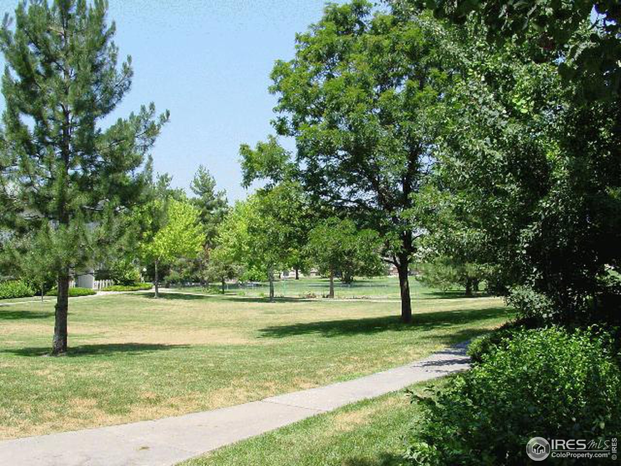 1024 East Swallow Road, Unit 134 Fort Collins, CO 80525 - Photo 7 of 7 a view of a yard with a tree