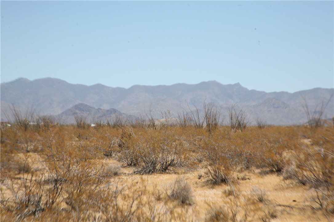 207-17-097 South Cameron Road Yucca, AZ 86438 - Photo 15 of 34