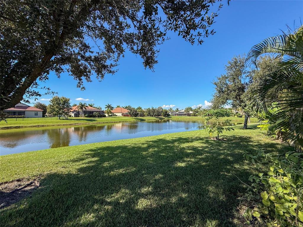 335 Cockle Shell Loop Apollo Beach, FL 33572 - Photo 51 of 90 a view of a lake with houses in the background